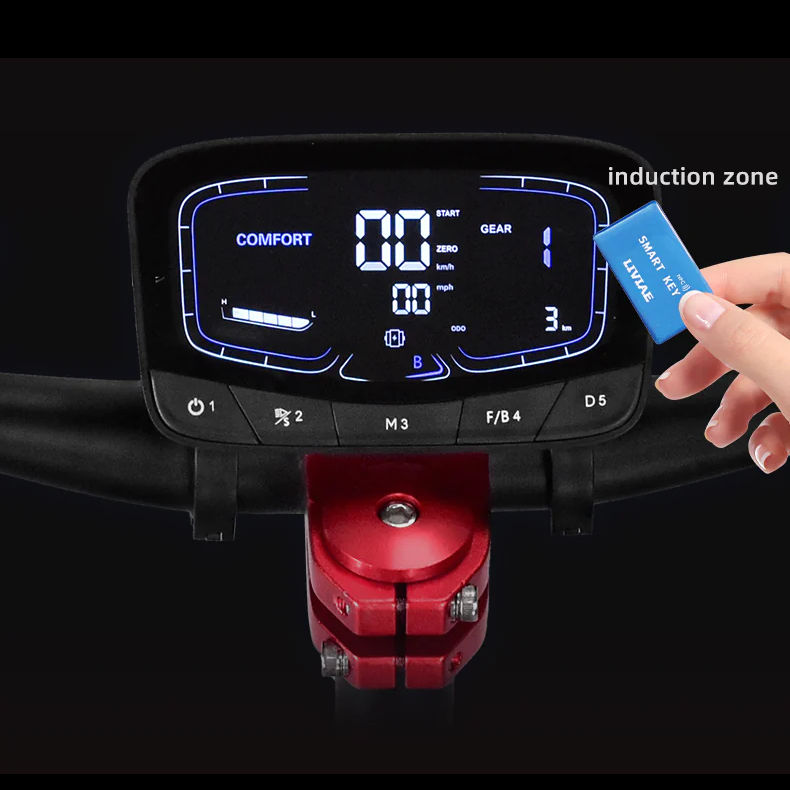 Original TF-100/LY 810 Display Meter for Boyueda E-scooters